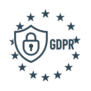 Privacy policy icon